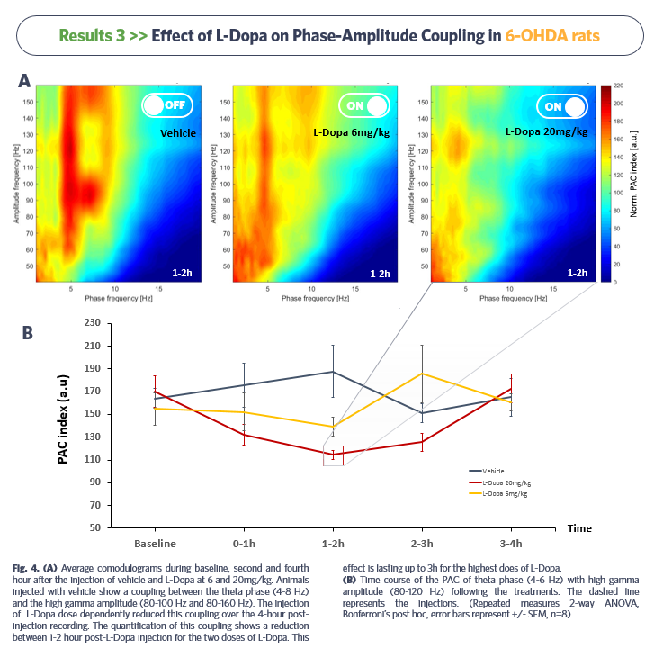 Effect-of-L-Dopa-on-Phase-Amplitude-Coupling-in-6-OHDA-rats