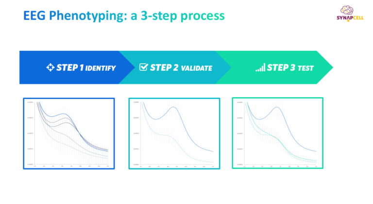 EEG Phenotyping in 3 steps