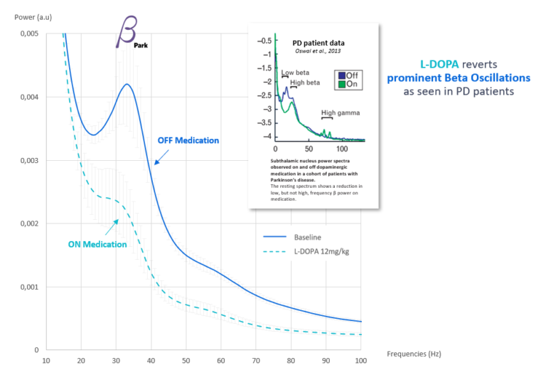 EEG Phenotyping step2 alphasyn