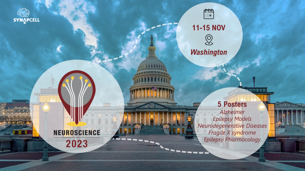 SynapCell exhibitor at Neuroscience 2023 washington