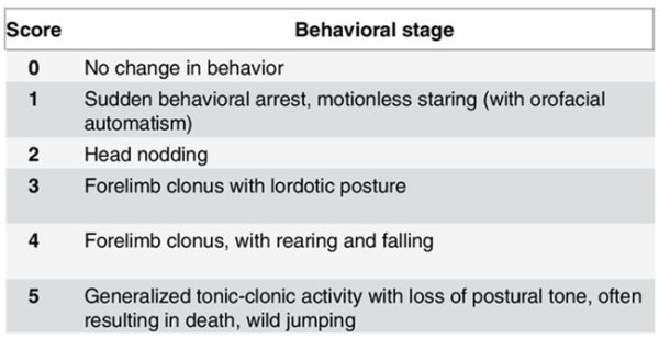 preclinical-CRO-EEG-epilepsy-Kindling