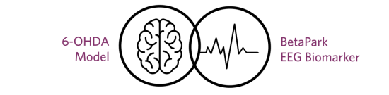 picto_brain_EEG-biomarker_6-OHDA-BETApark