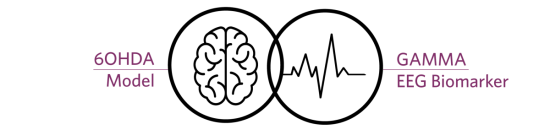 picto_brain_EEG-biomarker_6OHDA-GAMMA